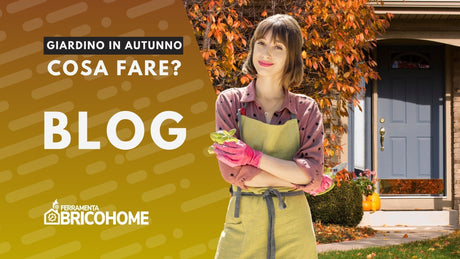 Prepararsi all'autunno: 5 cose da fare per il tuo giardino