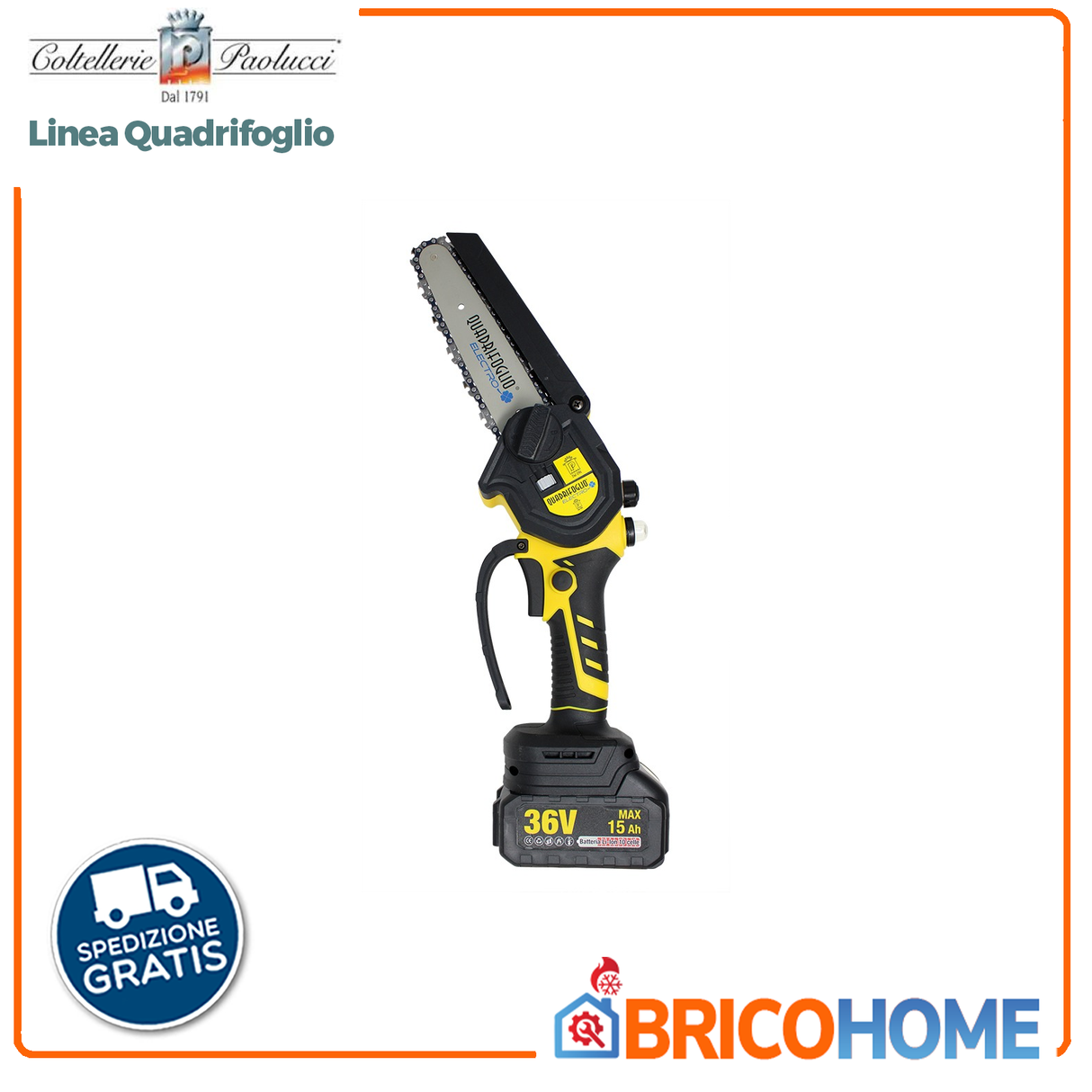 Quadrifoglio Mini Elettrosega lama 15cm con 2 batterie al litio 36V, caricabatteria e valigetta