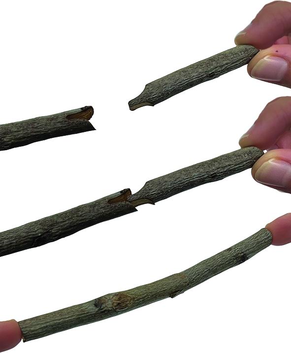 Forbici per innesti 12mm - Sandri Garden SG-FI12