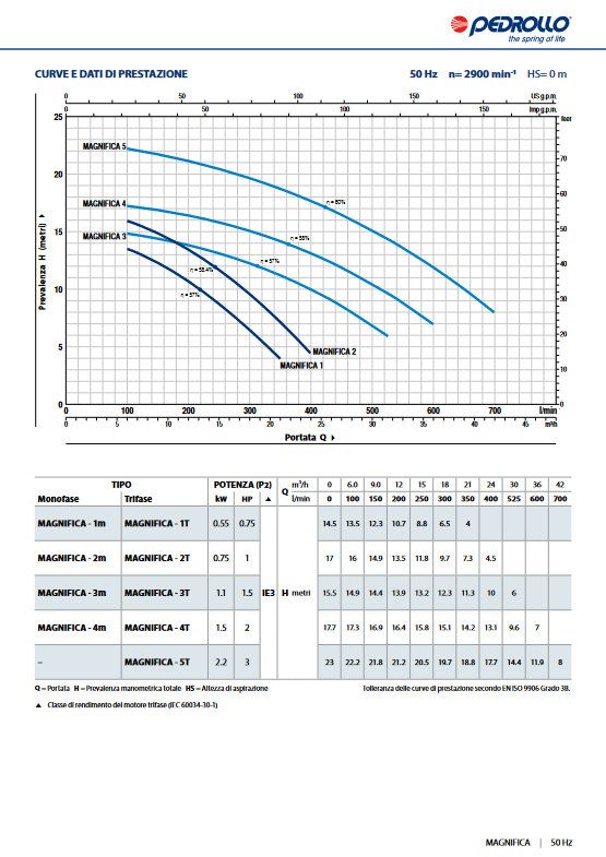 Elettropompa per piscine MAGNIFICA 1m Pedrollo