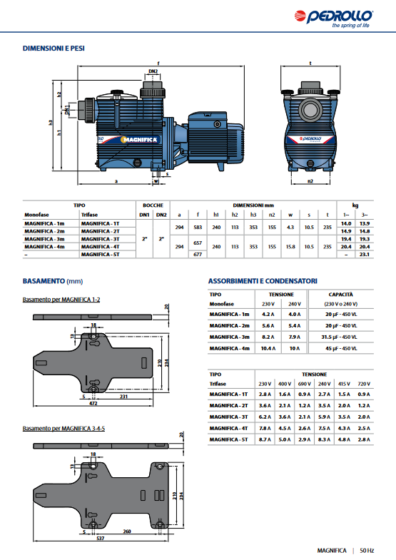 Elettropompa per piscine MAGNIFICA 1m Pedrollo