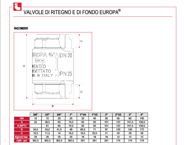 EUROPA® ITAP 1'' (DN 25) brass check valve