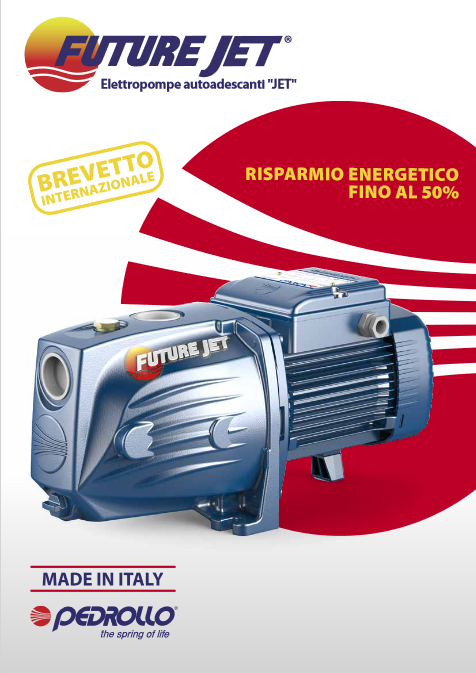 PEDROLLO FUTURE JETm 1A selbstansaugende Elektropumpe - 0,75 PS - für Autoklaven