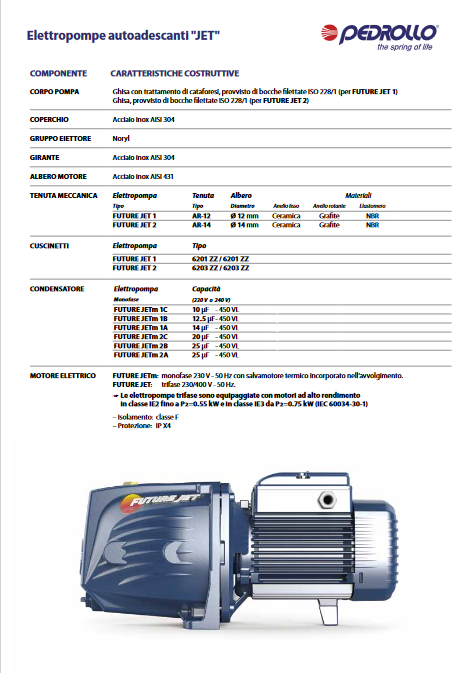 PEDROLLO FUTURE JETm 1A selbstansaugende Elektropumpe - 0,75 PS - für Autoklaven