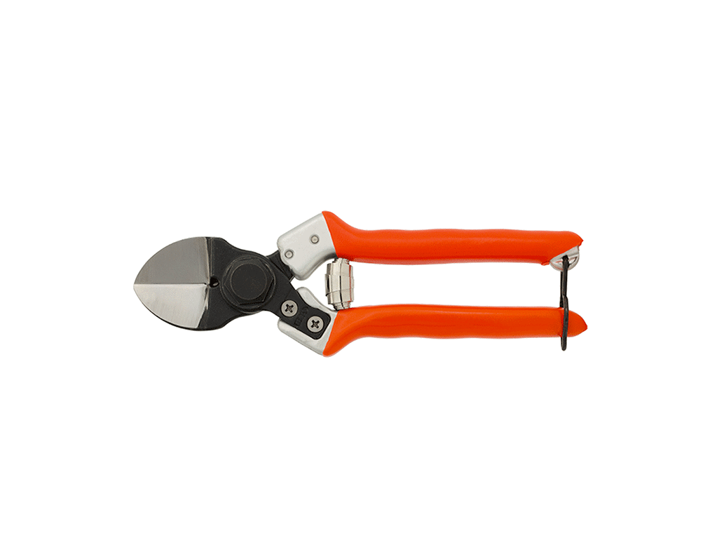 B12 - Profi-Astschere CASTELLARI mit zwei Klingen