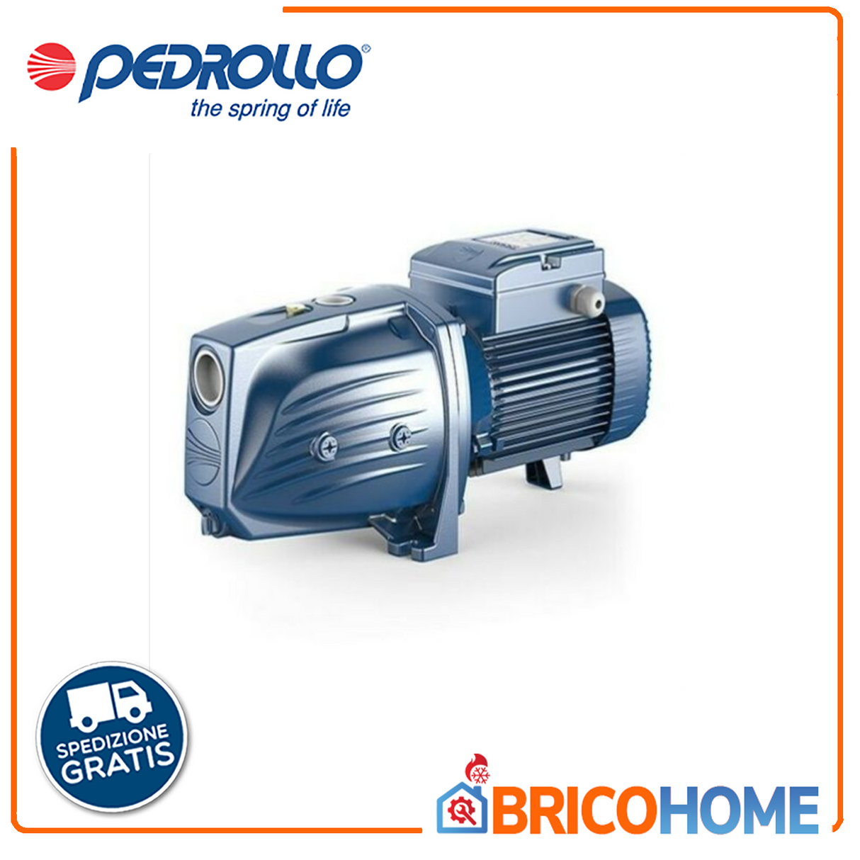 PEDROLLO JSWm 1AX - 0.75HP self-priming electric pump - for autoclave