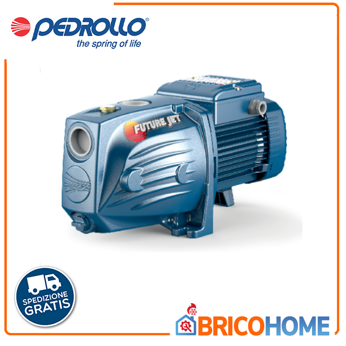 PEDROLLO FUTURE JETm 2C - 1.0HP self-priming electric pump - for autoclave
