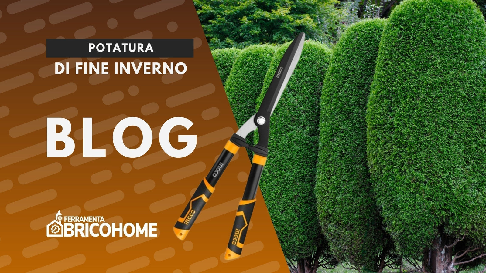 Potatura: il periodo giusto per preparare piante e alberi alla primavera