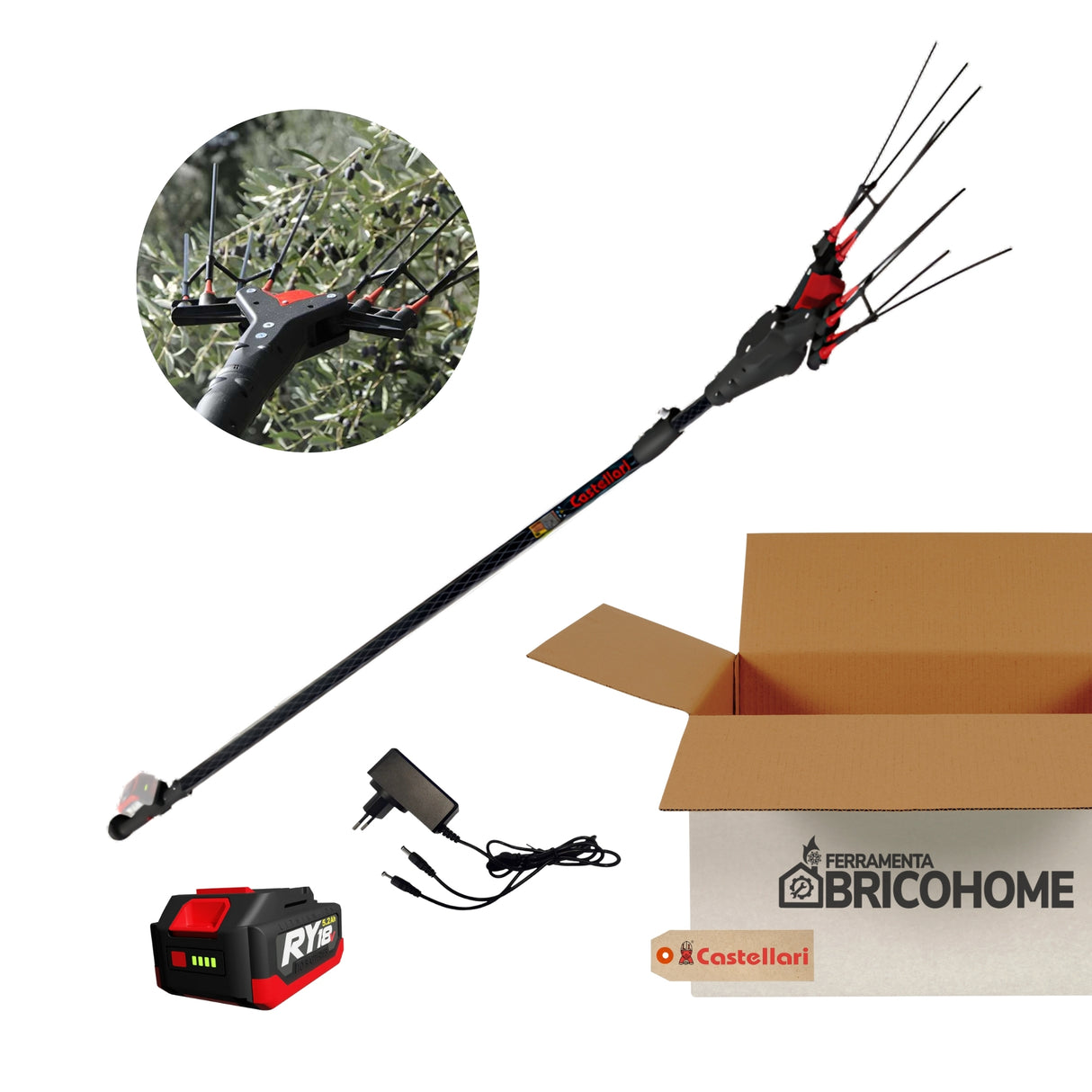 Kit Abbacchiatore Elettrico VERTIGO CARBON L 18V con Batteria e Caricabatteria [BUNDLE]