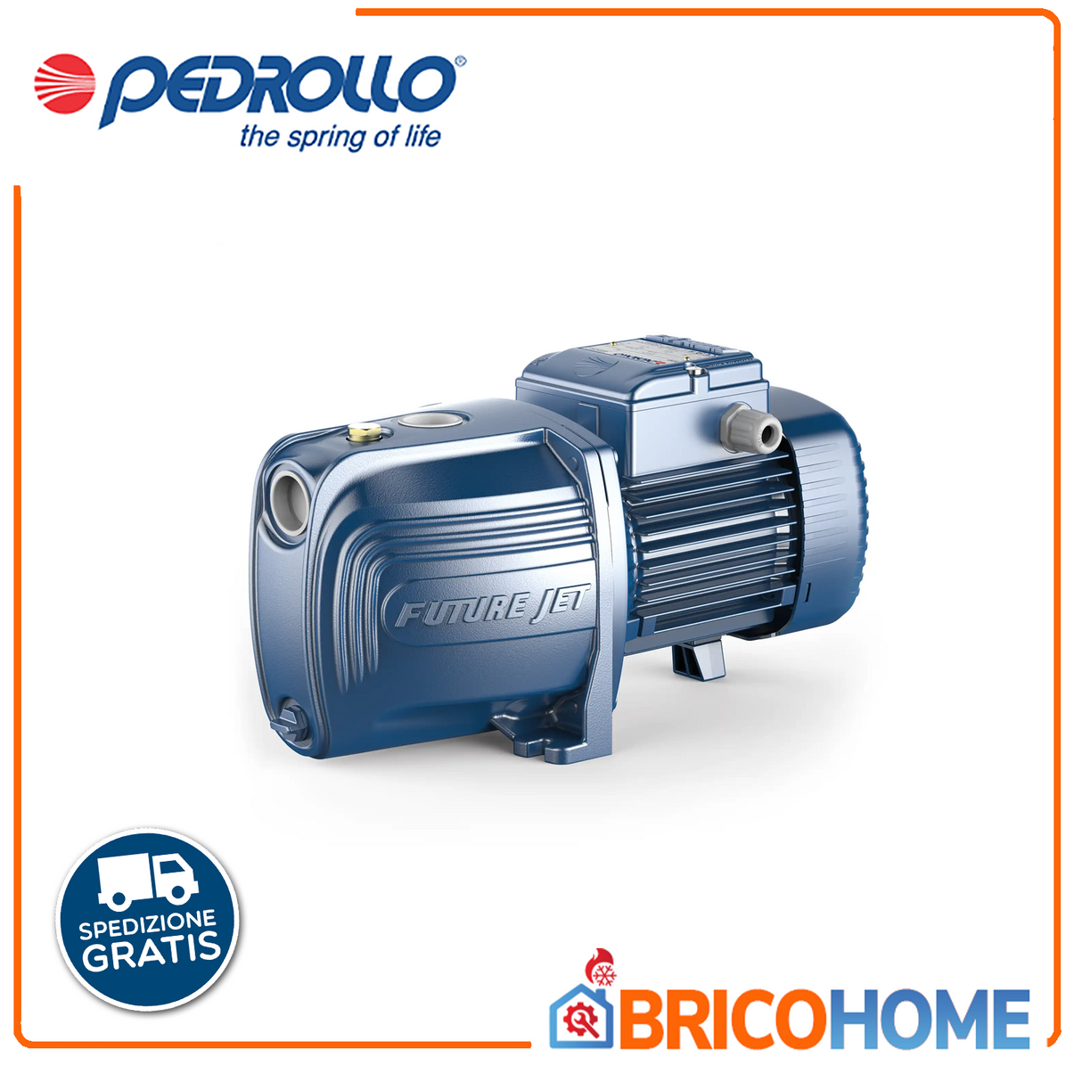 PEDROLLO JSWm 2AX selbstansaugende Elektropumpe – 1,25 PS (1,5 PS) – für Autoklaven
