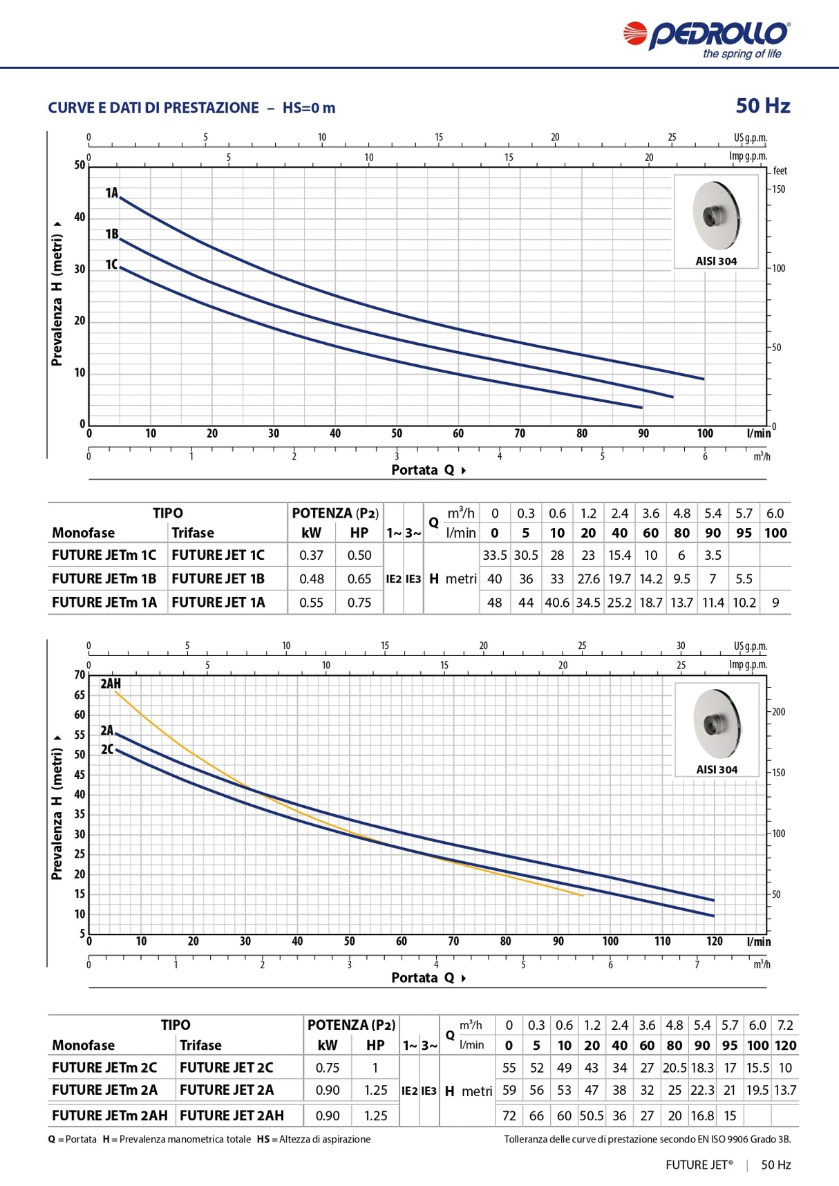 Kit Pedrollo Elettropompa FUTURE JETm 1C 0,50HP + Presflo Vario Regolatore Elettrico [BUNDLE]