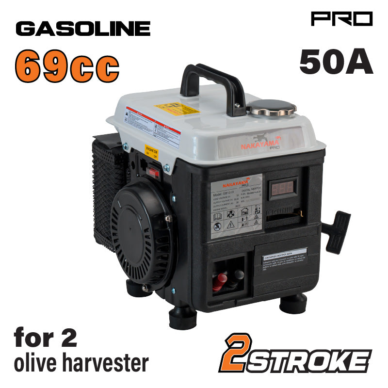 NAKAYAMA Pro Generatore a Benzina Inverter DC 12V 50A per abbacchiatori - GB1310