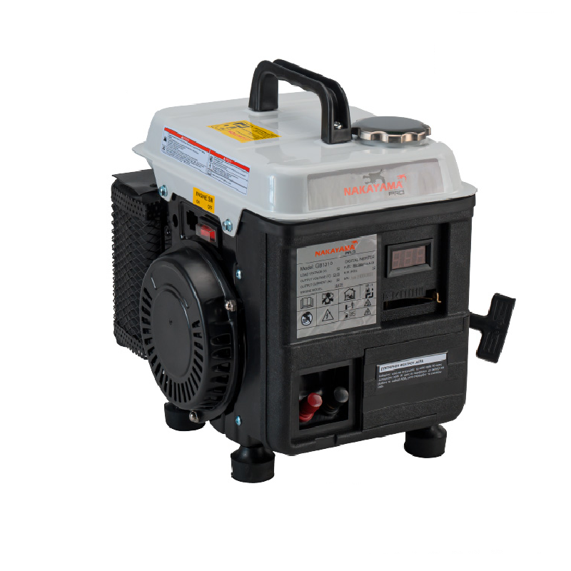 NAKAYAMA Pro Generatore a Benzina Inverter DC 12V 50A per abbacchiatori - GB1310