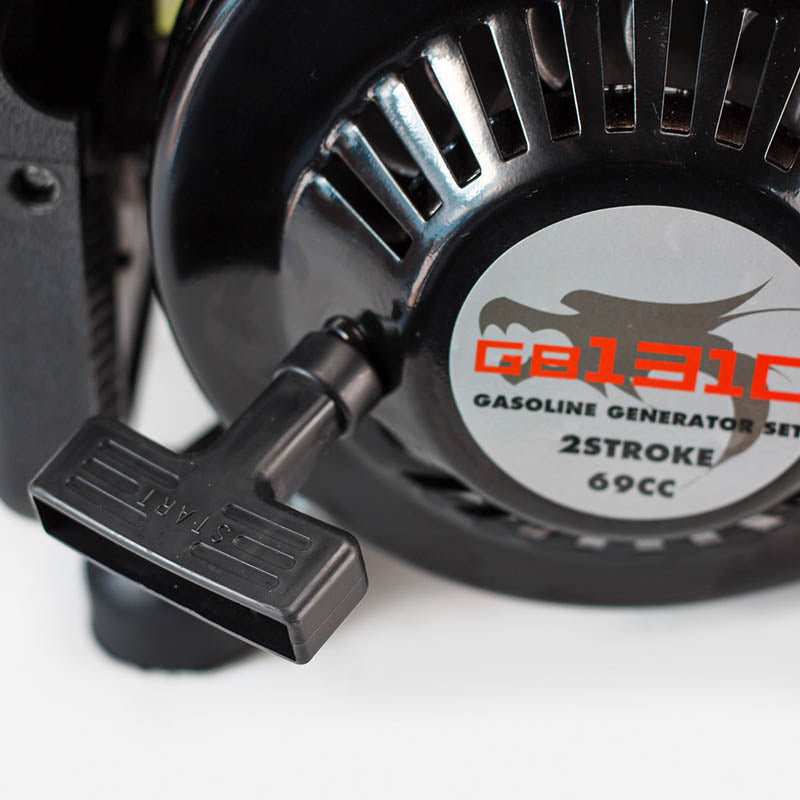 NAKAYAMA Pro Generatore a Benzina Inverter DC 12V 50A per abbacchiatori - GB1310