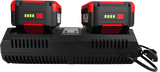 Castellari Caricabatterie rapido doppio 220V 4,0Ah per batterie RY18V - RY04B