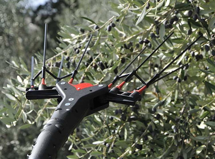 Castellari Abbacchiatore Elettrico a Batteria VERTIGO L 18V – 240–320 cm ( solo corpo )