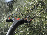 Kit Abbacchiatore Elettrico VERTIGO CARBON L 18V con Batteria e Caricabatteria [BUNDLE]