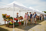Gazebo professionale bianco 3x4.5m mercato agricolo