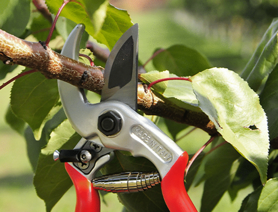 UNIVERSAL-CASTELLARI professional pruning shears